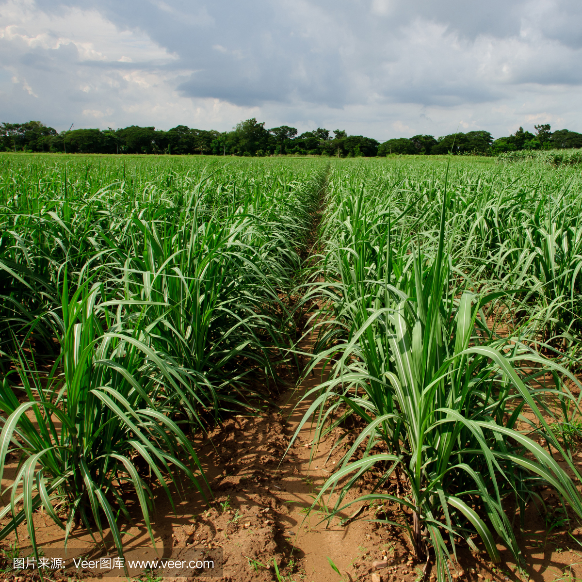 7f5c872b16dede6ed6da30f353ded2d9229bcabd1981e3-4Ls6ep