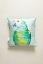 Parrot Pillow - Anthropologie.com