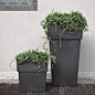 Serralunga Square Pot Planter & Reviews | AllModern