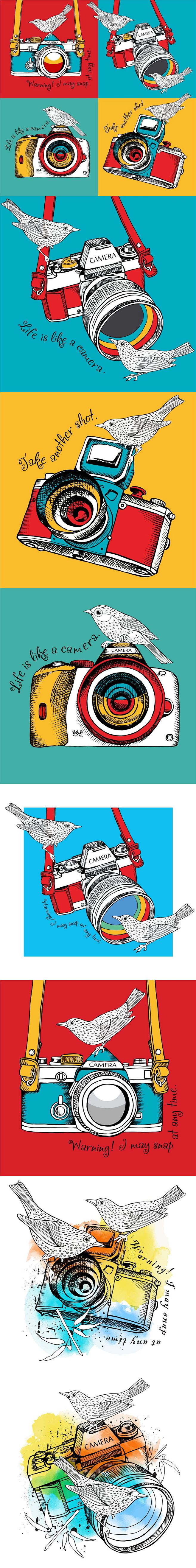 手绘相机与鸟矢量插图