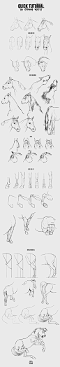 Drawing Horses Tutorial - Part 2 by Smirtouille.deviantart.com on @deviantART