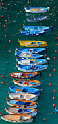 Vernazza Armada, Cinque Terre, Italia