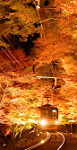 Maple trees' tunnel, Eizan Railway's Kurama line, Kyoto,Japan