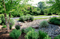rainwater garden design | rain garden design this rain garden nestles into the landscape and ...