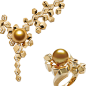 Illusion Collection - Golden South Sea Pearls