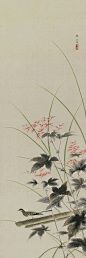 Bush warbler in autumn flower by Kanashima Keika. Japanese Hanging Scroll.: 