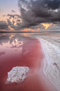 死海 - 粉红颜色来了从钠的过多