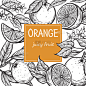 柑橘属,手,模板,葡萄柚,橙子,榨汁机,墨水和刷子,水果,钢笔画,柠檬