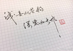 宸子爱吃橙子采集到手写字体