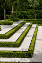 Boxwood in between steps