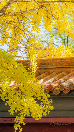 我们是同学采集到微信—节气节日