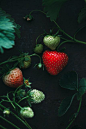 Strawberries | *Fruites & Vegetables & Herbs & Berries & Nuts & Beans…