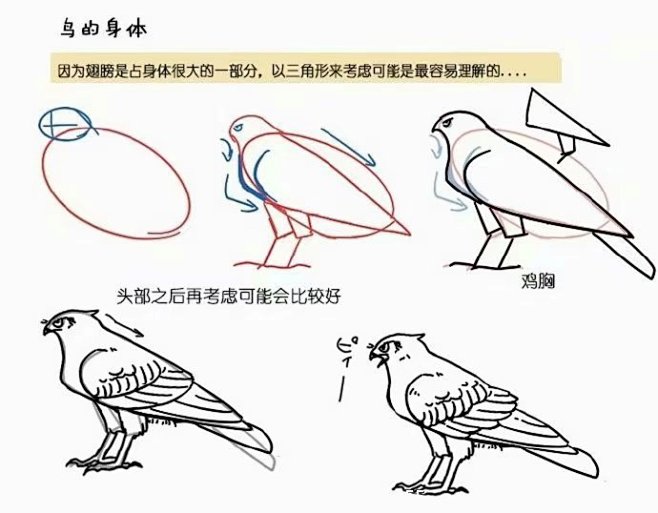 （鸟和翅膀）