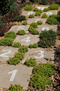 Hopscotch pavers in the garden - how cute is that?!