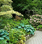 植物层次与色彩搭配（The Butchart gardens） 加拿大布查德花园