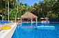 室外游泳池与茂密椰树摄影高清图片