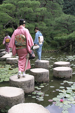 【归空】山泽采集到隨