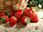 Strawberry: 55 thousand results found on Yandex.Images