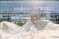 千人到访！杭州富力中心未来镜像馆倾城盛放！ : 5月11日，未来镜像馆倾城启幕！