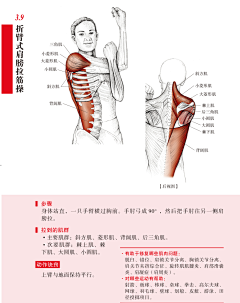 Rsunmer采集到运动