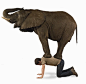 大象站在人身上，侧面图(数字合成)图片下载