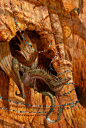 Dragons of Red Rocks Canyon by AaronMiller