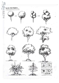手绘 线稿 树的画法_360图片