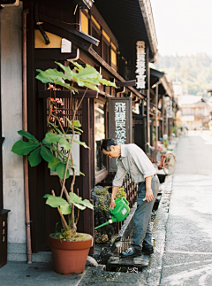 麻袋tousla采集到pho