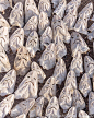 摄影师George Steinmetz拍摄的一张照片：在毛里塔尼亚一个码头被晒干的鲨鱼头，表情如同“幽灵”。摄影师介绍说，捕鲨在当地属非法，但仍有很多鲨鱼被捕杀，鱼翅主要卖往中国，鱼肉卖给西班牙和尼日利亚。（VIA INS：geosteinmetz） (936×1170)