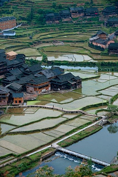 忘川漪涟采集到乡村