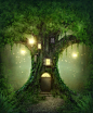 森林童话【精灵的树屋】