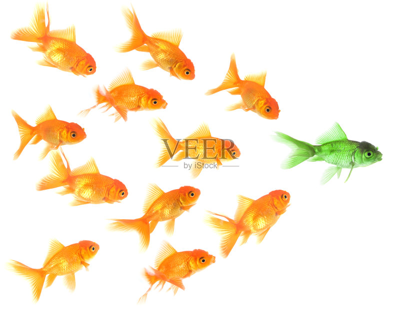 80dd77acf50bfac5800b5970495785e39333d78214713-uRTnmo