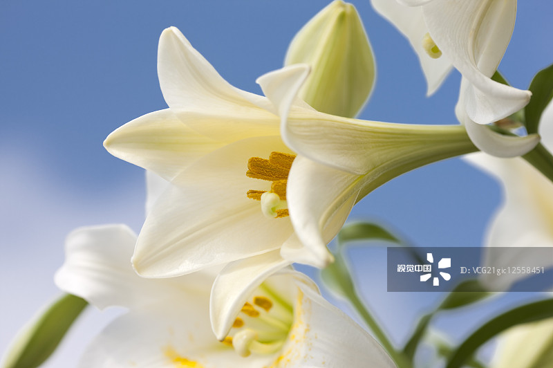 80e09c6f3c301f8d29a025f783eb65028829488f1287f-Wjeqoh