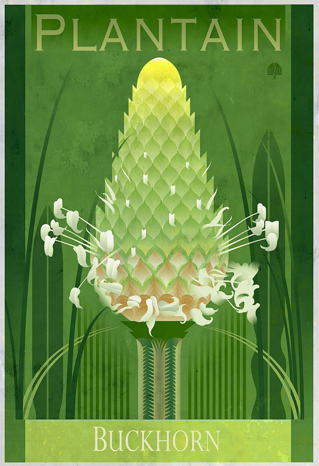 Botanical Graphics: ...