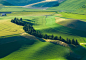 Project #10 The Palouse : Aerial obliques shot out of the side of a Cessna Grand Caravan of the wheat fields outside of Pullman Washington. 