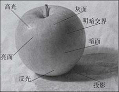 麦大超采集到L-练习素描几何、由静物到雕像