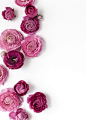 Styling and Photography by Shay Cochrane | www.shaycochrane.com | pink, florals, floral styled stock: 