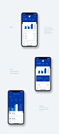 Oxygen — financial overview and helping hand in app : Financial overview and a helping hand in a mobile app. The decided to go with high contrast and bold typography on the app that should accompany the new brand look and feel. Probably the coolest part o