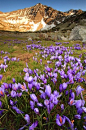 Spring time in Rila Mountains, Bulgaria (by Pavel Pronin).