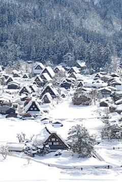 孫曉宇的馬甲采集到冰雪世界