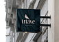 Tríave - Visual Brand : Tríave is a film and photography company based in Rio de Janeiro.The company acts in parties, events, external trials and mainly weddings. With the name "Thing Our Studio" 3 years ago in the market, they decided that afte