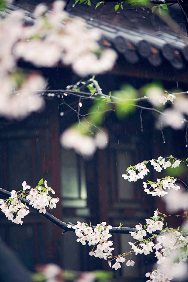 连雨不知夏去，一晴觉秋深。