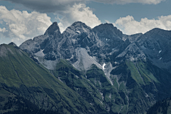 扒手没有手采集到树林 山水森林 背景