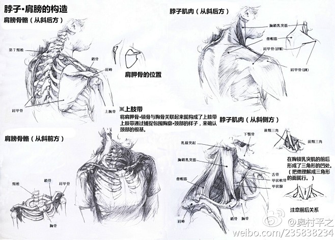 平之君_的照片 - 微相册