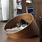 Covo Dog Lounge designed by MiaCara