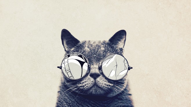 戴圆框眼镜的可爱猫封面大图