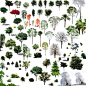建筑设计素材网---假山雕塑树木植物人物配景