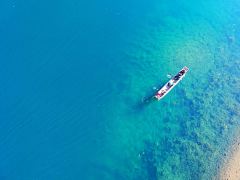 纱蓝采集到蓝海