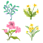 手绘水彩植物花卉元素5