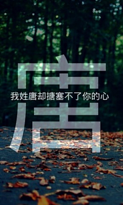 蕉雨落红叶采集到文字图片